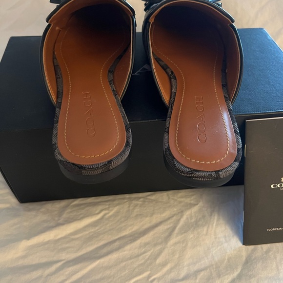 Coach slides - Picture 7 of 10